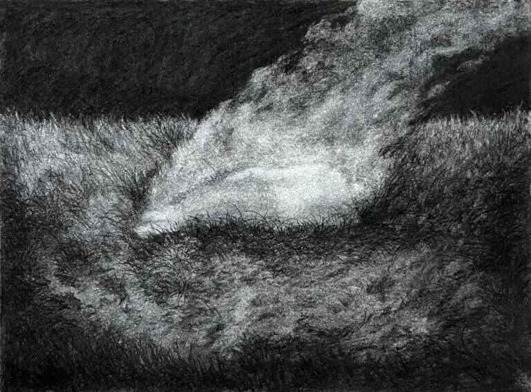 Drawings