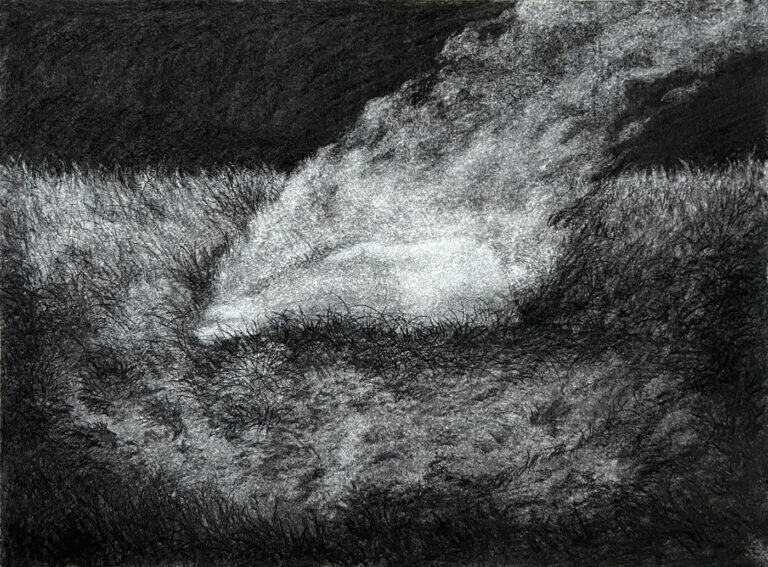 Combustion2023 23cmx31.5cm Fusin sur papier Ingre