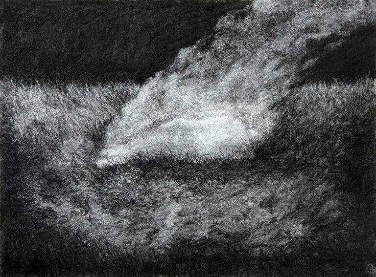Dessins